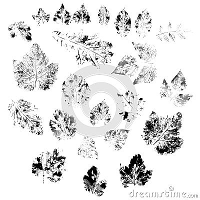 Black prints of leaves of oak, birch, mountain ash, mulberry, beans, linden, hawthorn, viburnum plant art design Vector Illustration